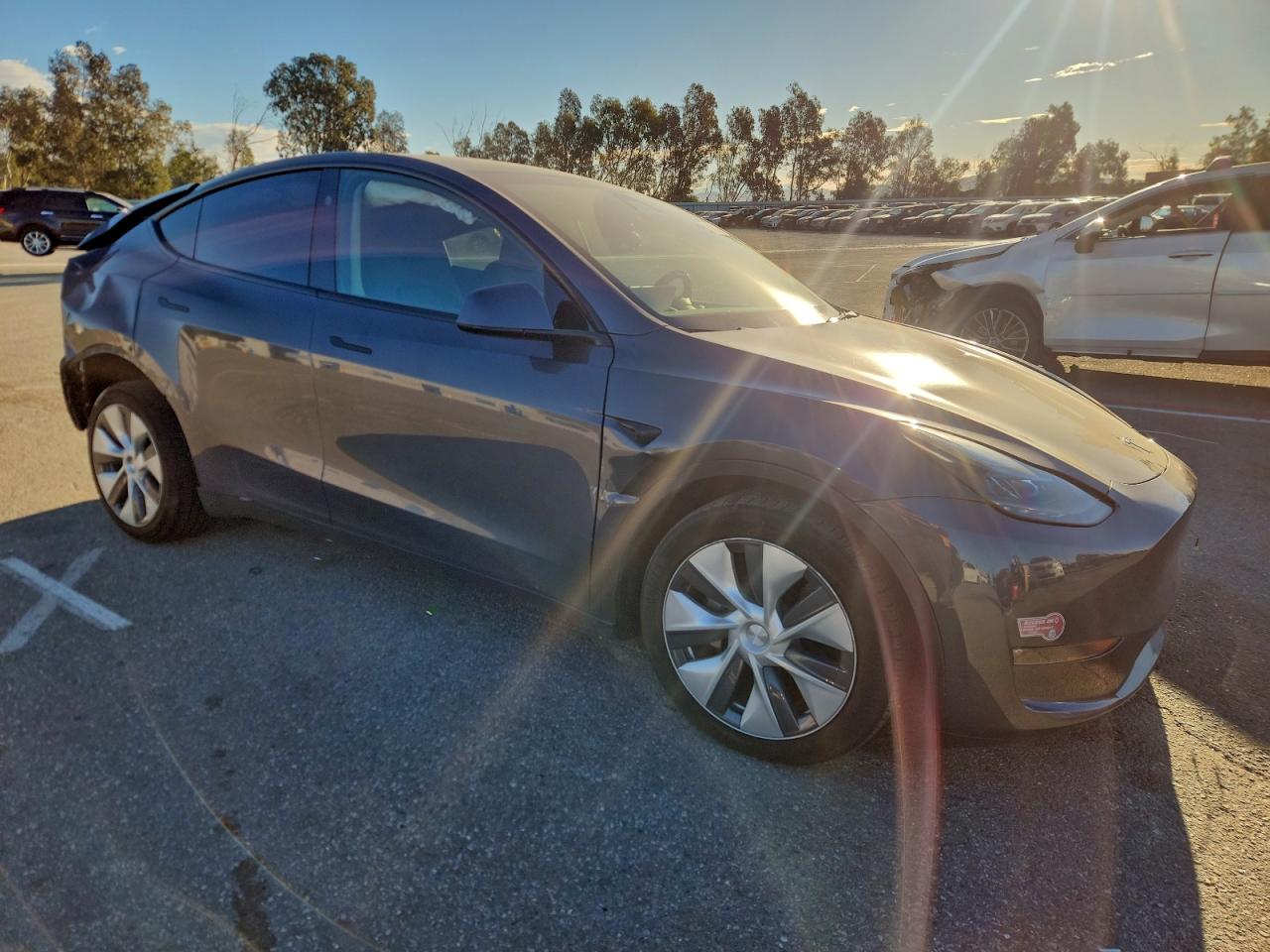 Tesla Model Y Image 6