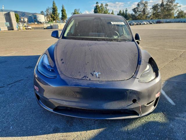 Tesla Model Y Image 5