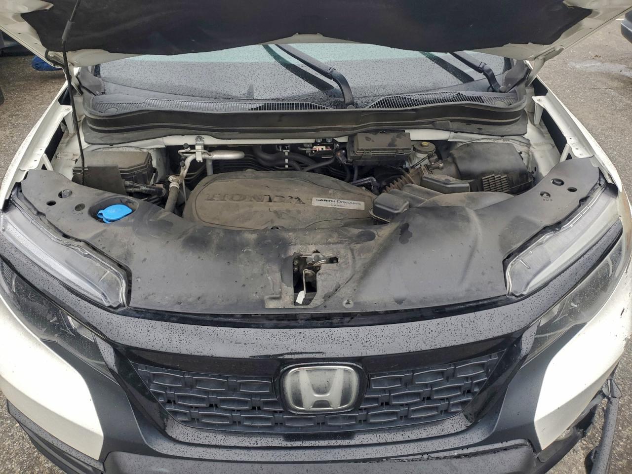 Honda Passport Sport Image 11