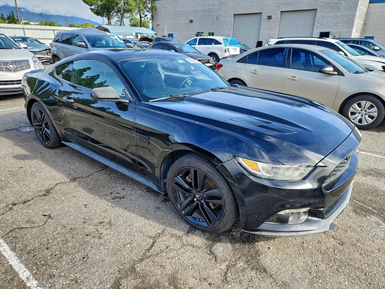 Ford Mustang Image 3