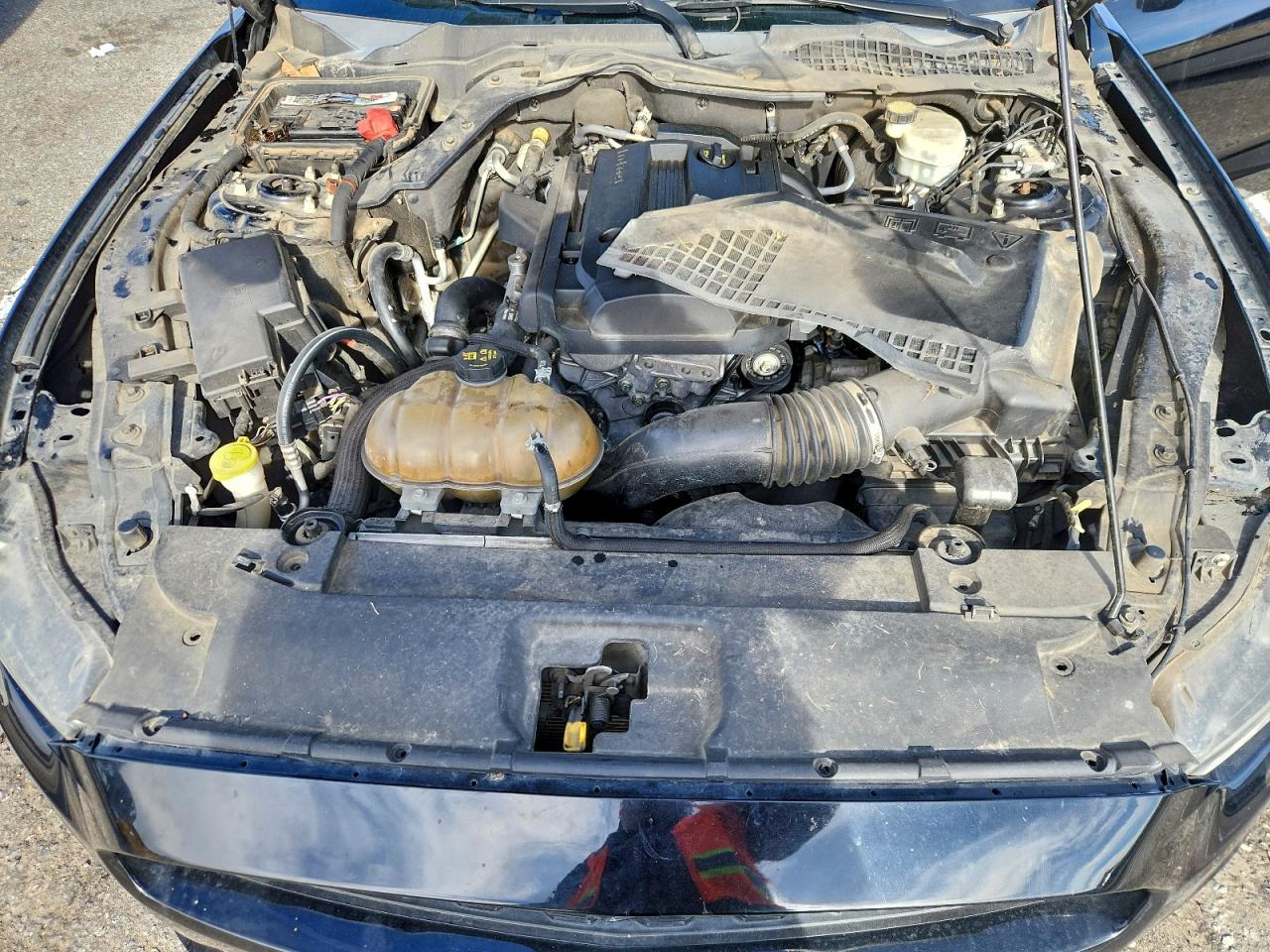 Ford Mustang Image 10