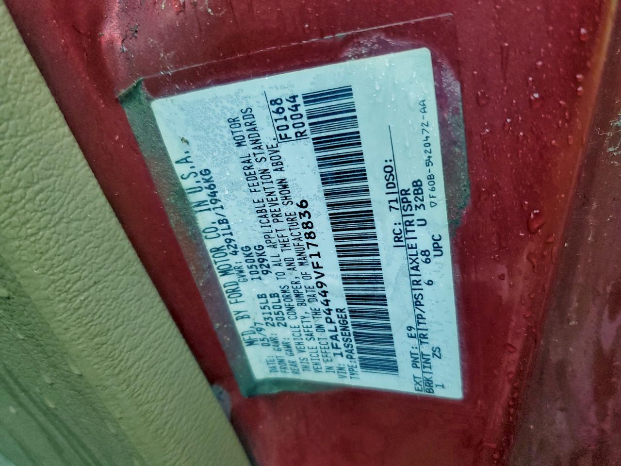 Ford Mustang Image 3