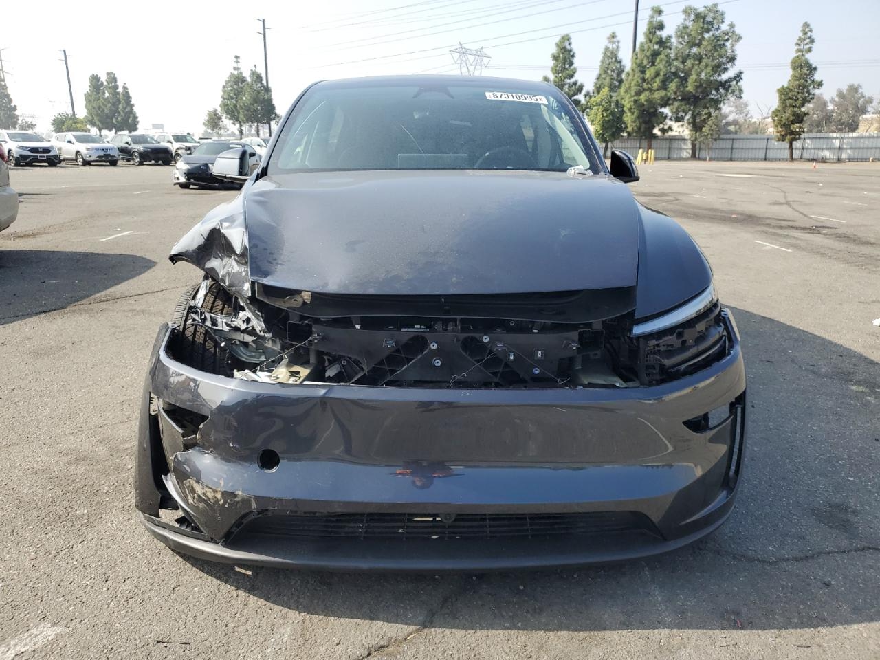 Tesla Model Y Image 6