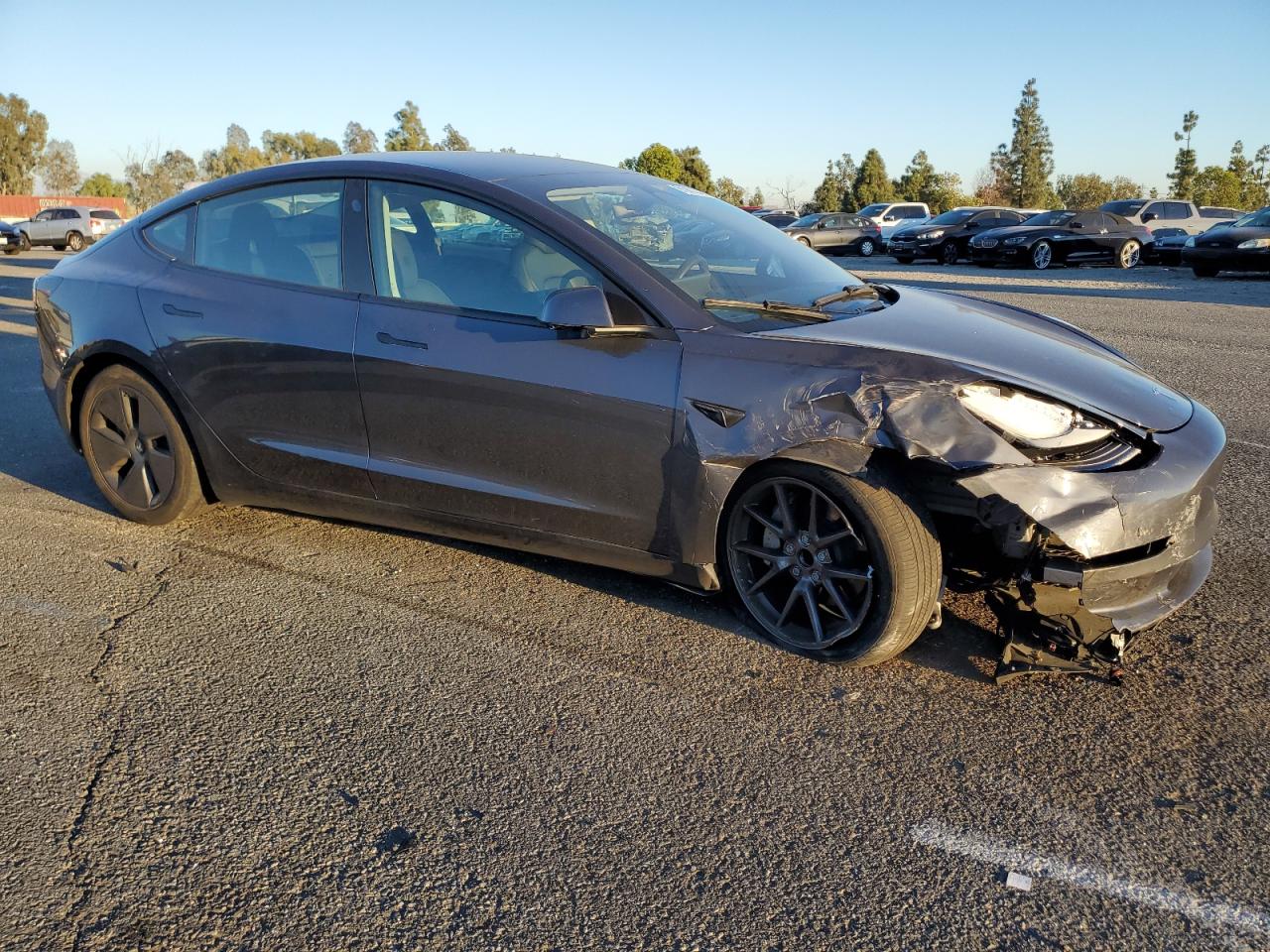 Tesla Model 3 Image 5