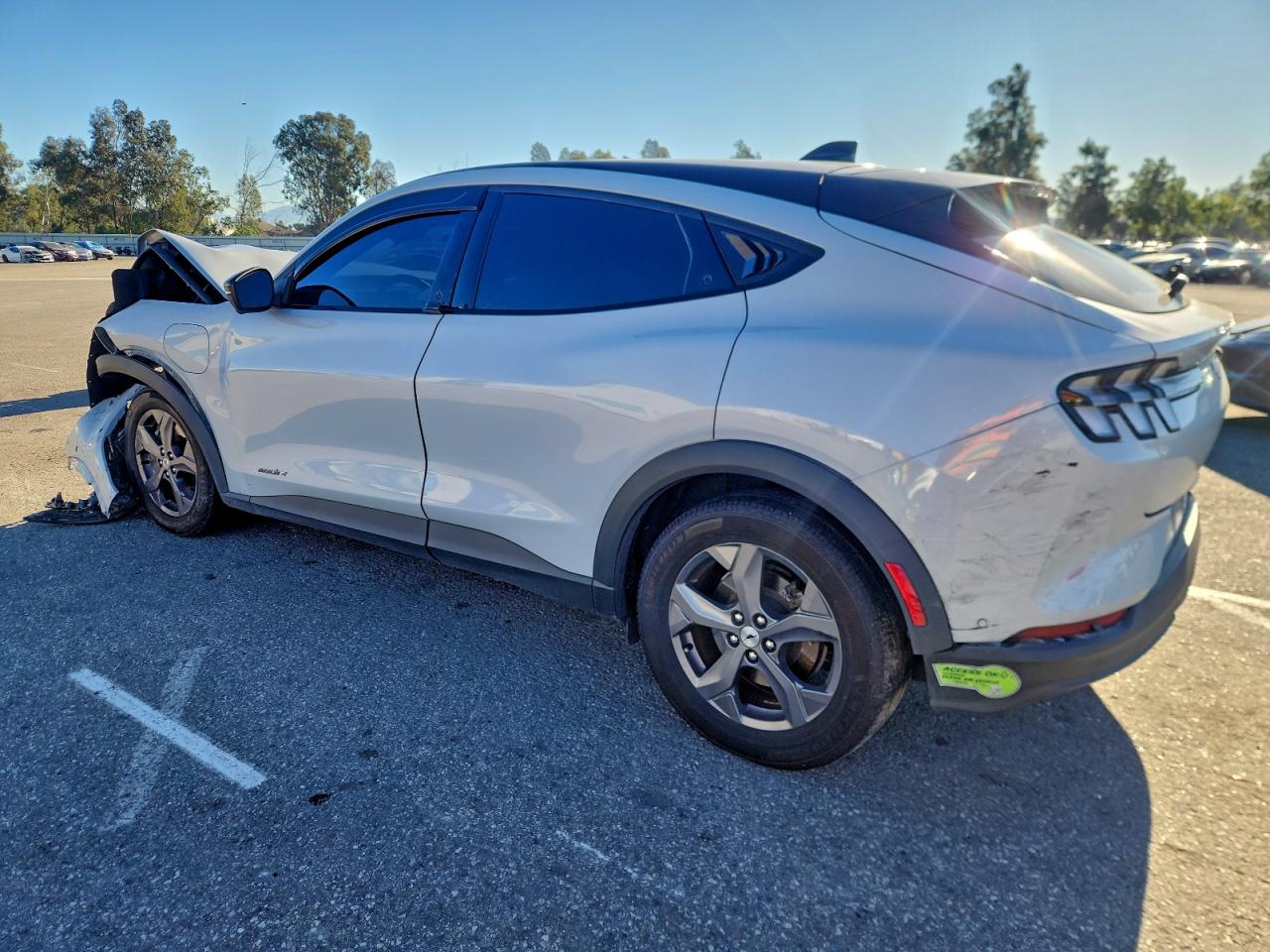 Ford Mustang Select Image 2