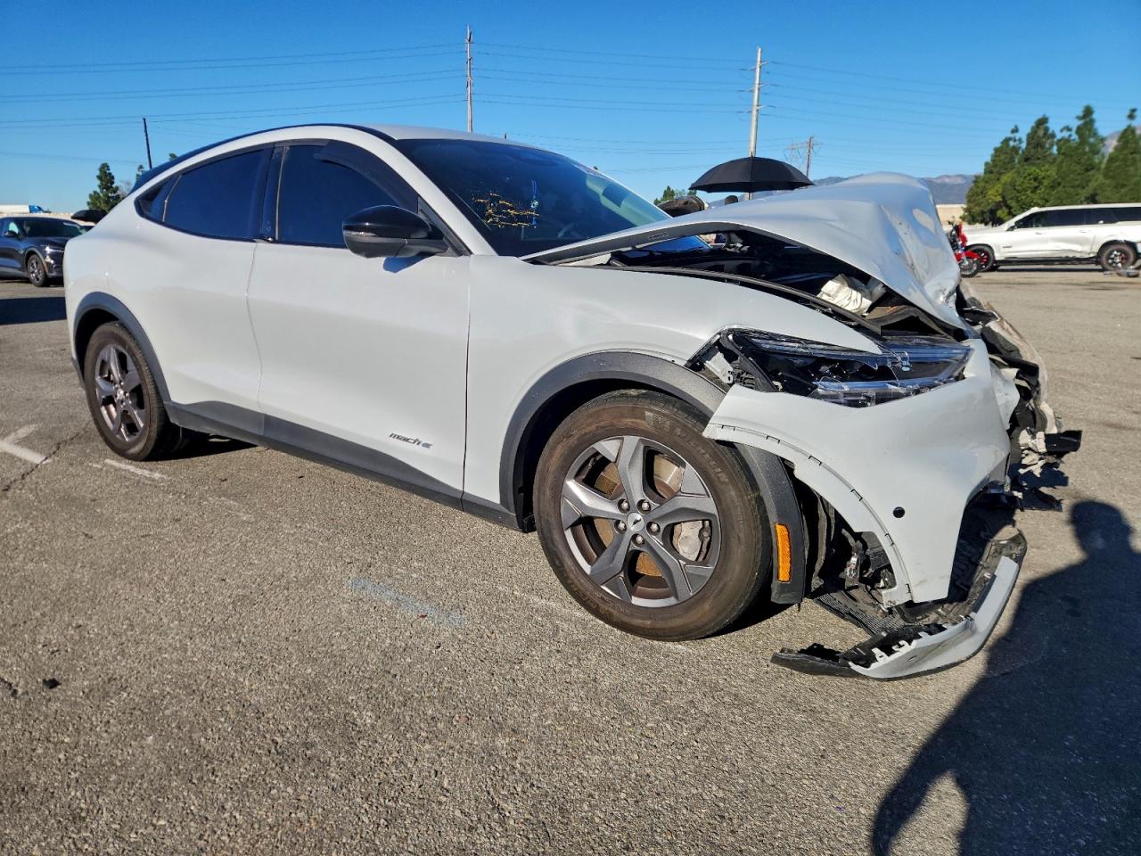 Ford Mustang Select Image 12