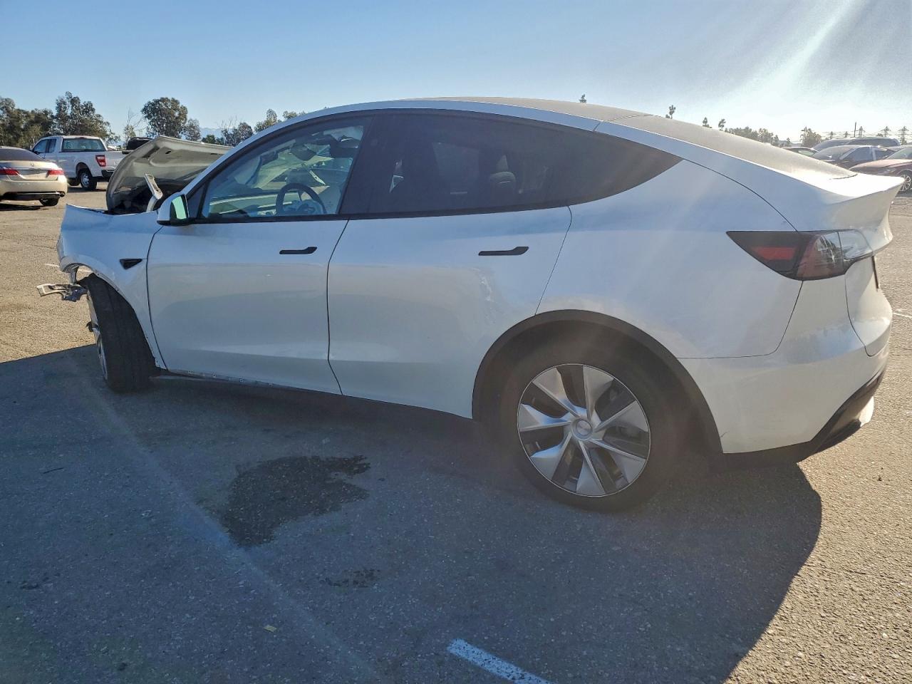 Tesla Model Y Image 2