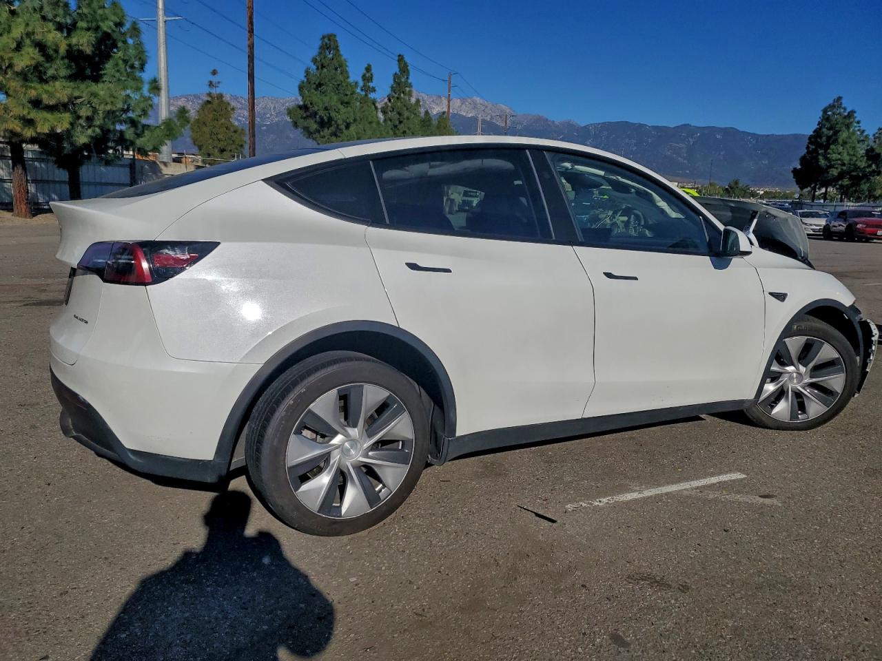 Tesla Model Y Image 13