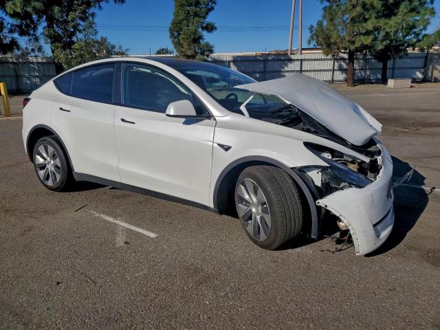 Tesla Model Y Image 5