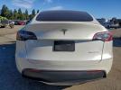 Tesla Model Y Image 12