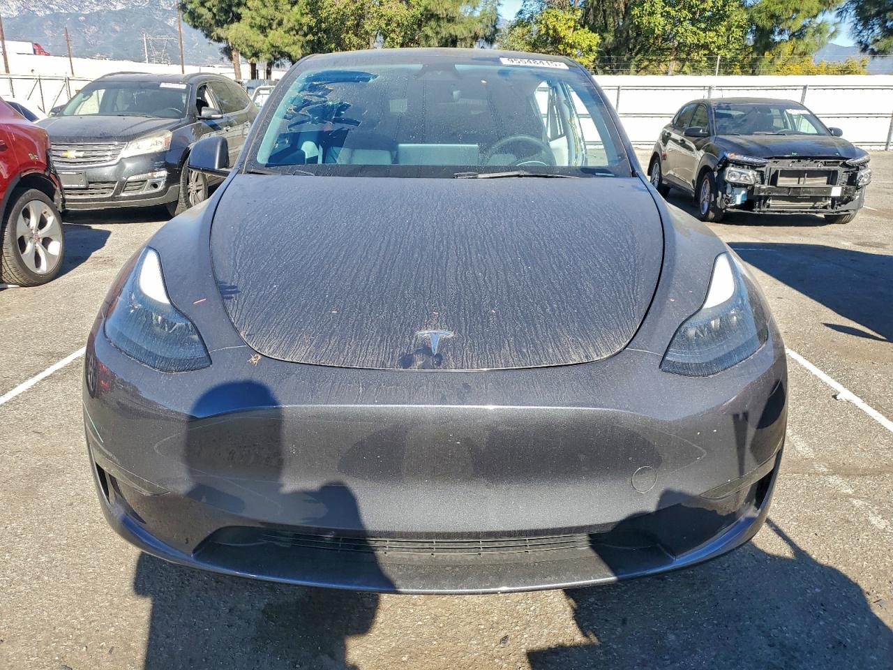 Tesla Model Y Image 11