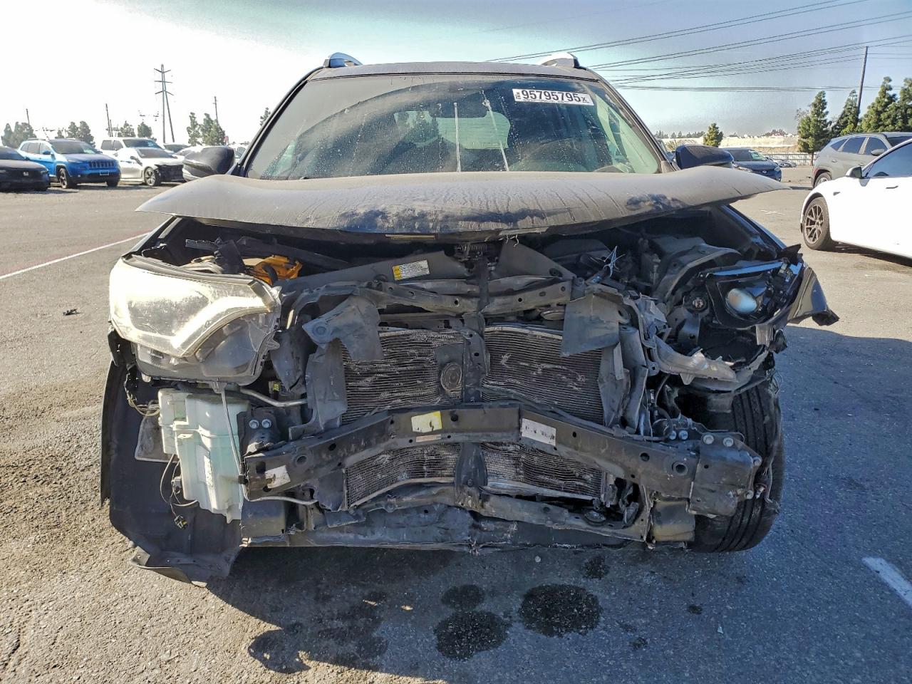 Toyota RAV4 Xle Image 11