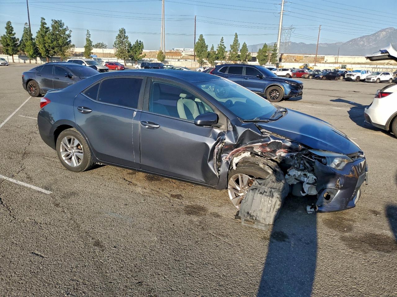 Toyota Corolla Eco Image 9