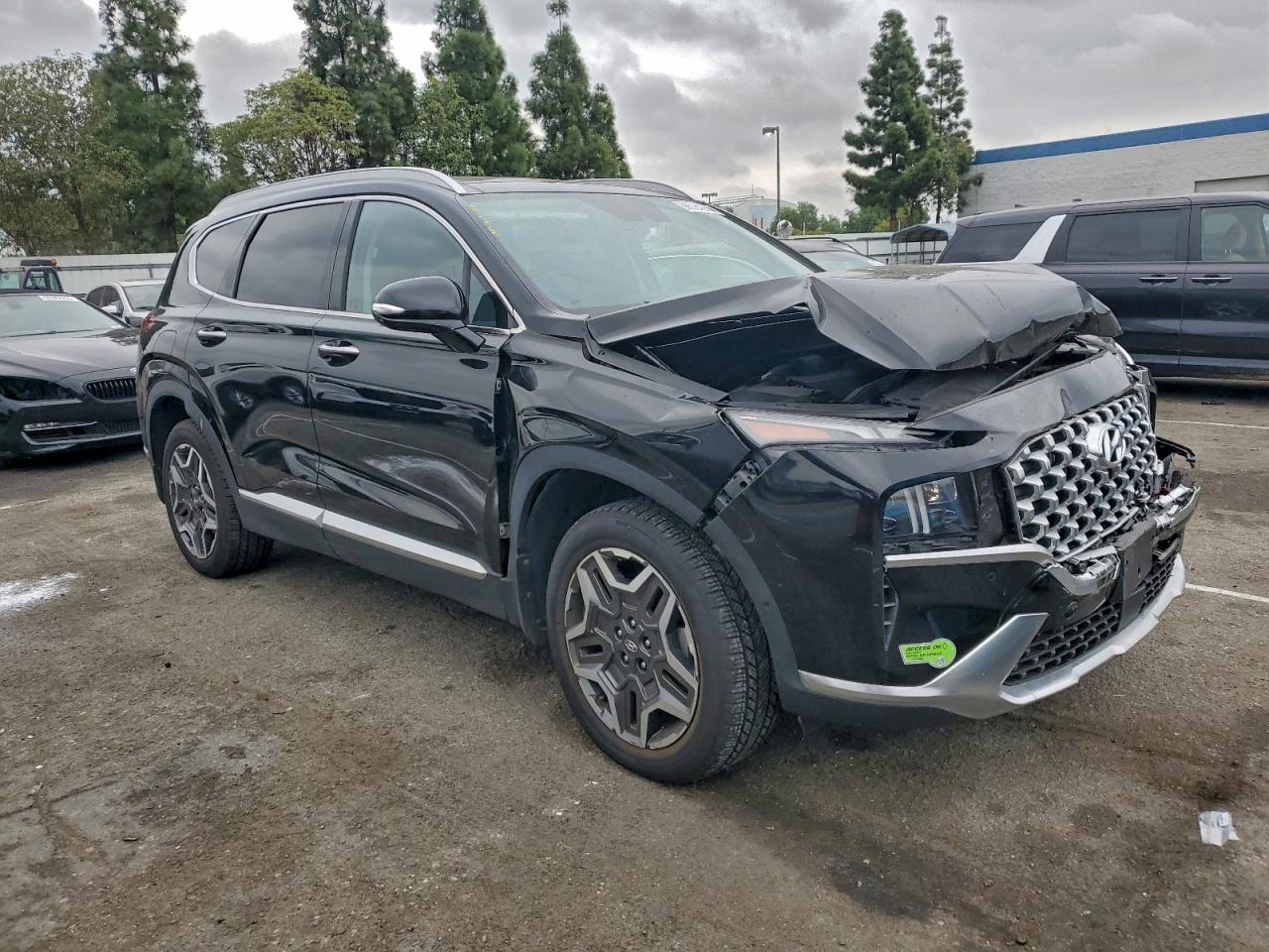 Hyundai SANTA FE Limited Image 13