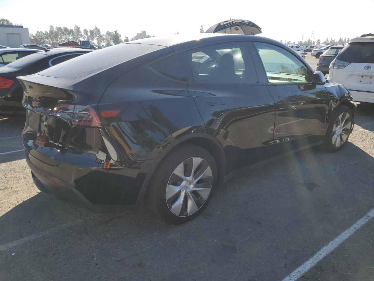 Tesla Model Y Image 2