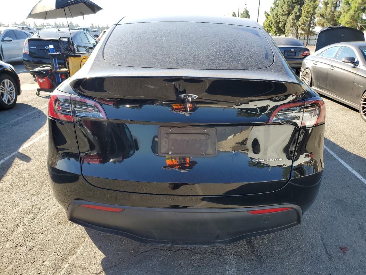 Tesla Model Y Image 4
