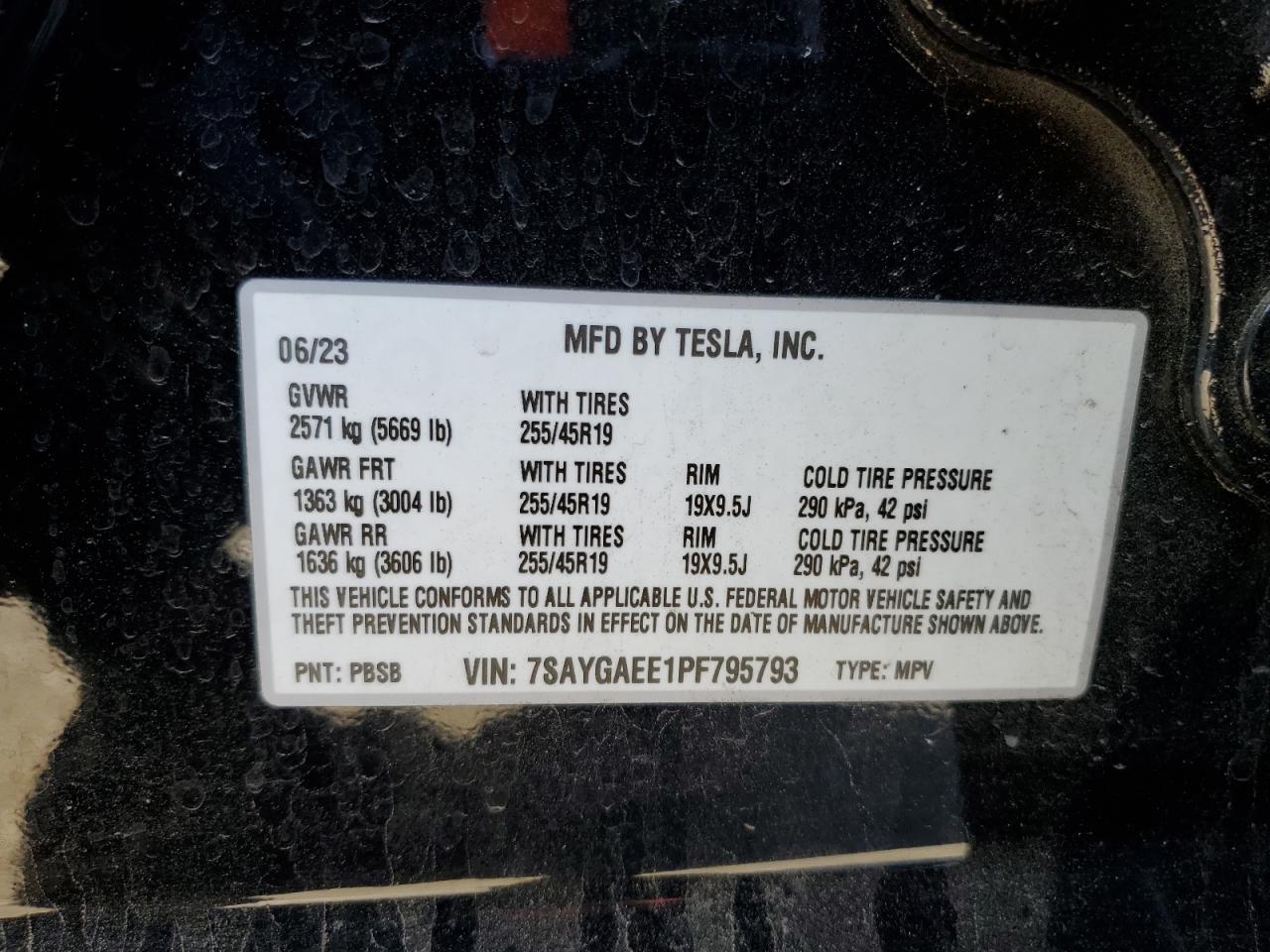 Tesla Model Y Image 9