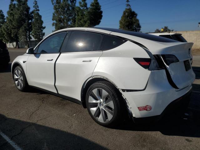 Tesla Model Y Image 2