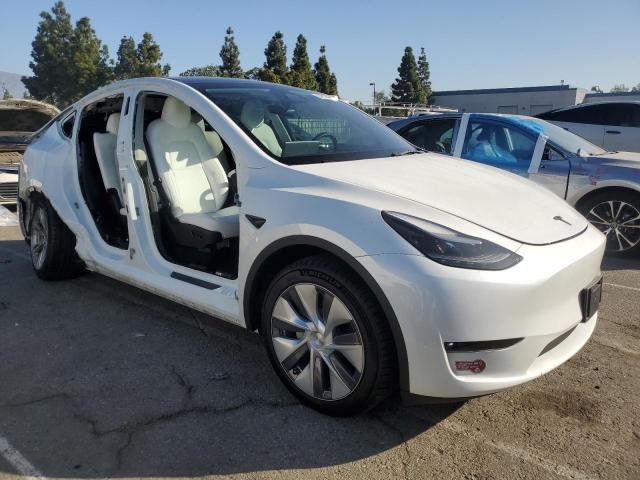 Tesla Model Y Image 6