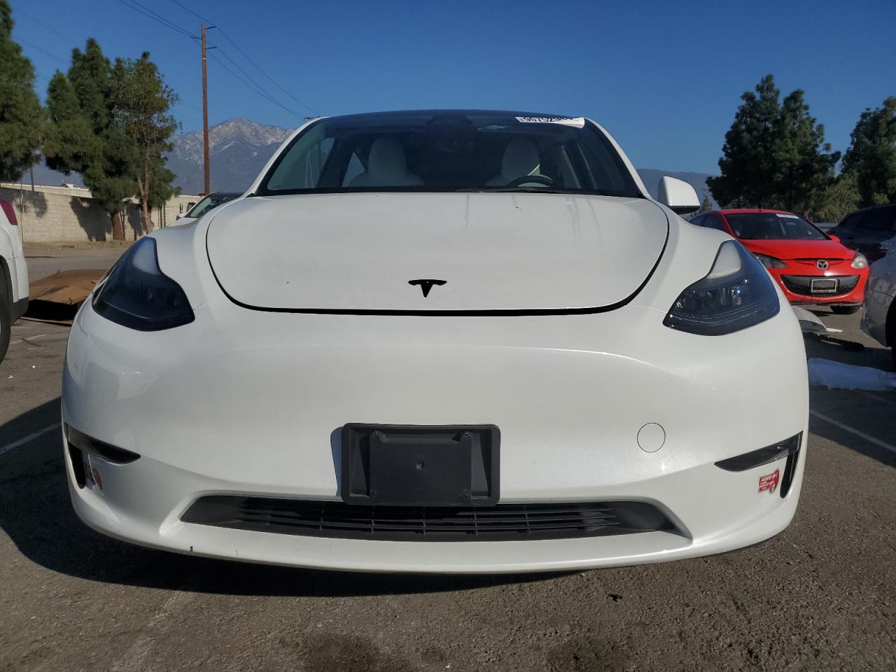 Tesla Model Y Image 4