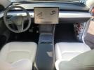 Tesla Model Y Image 13