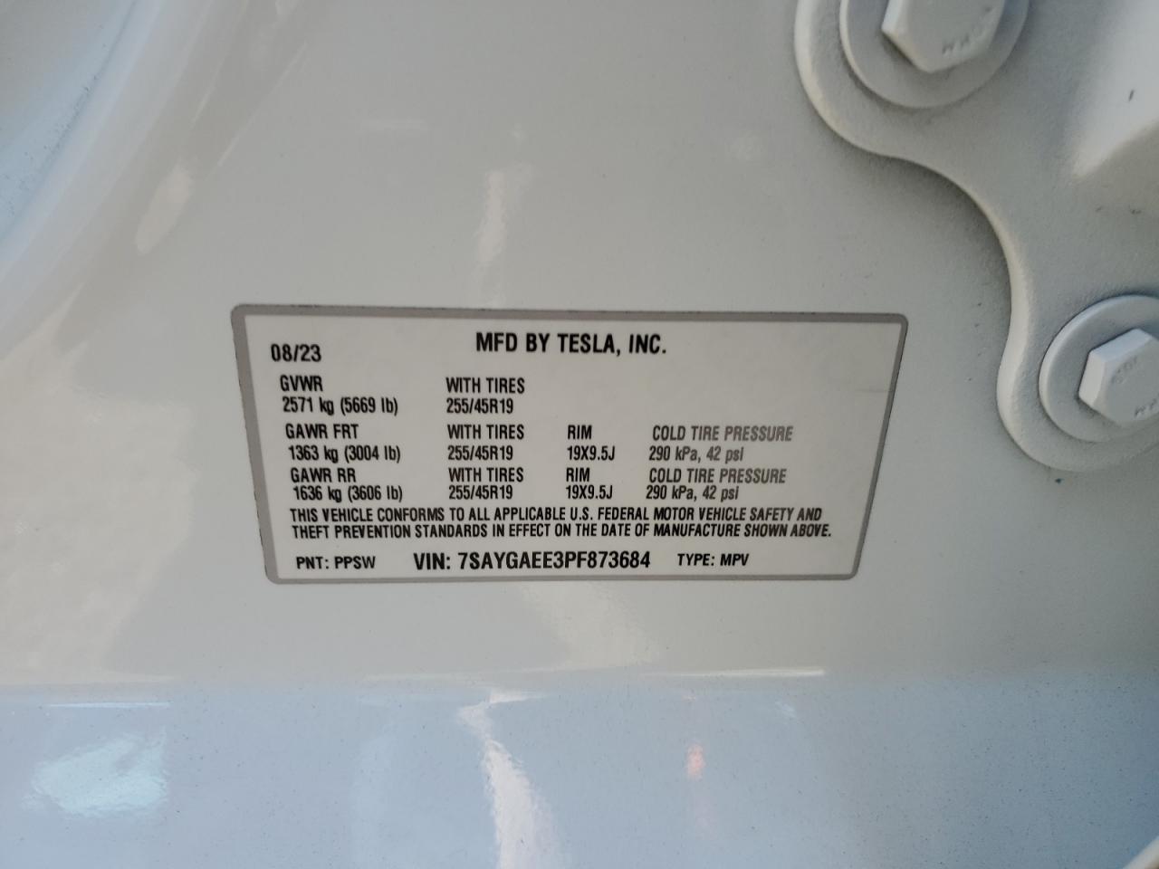 Tesla Model Y Image 9