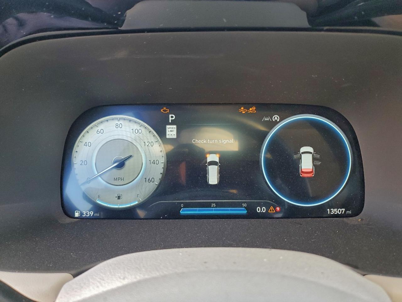 Hyundai PALISADE Calligraphy Image 2