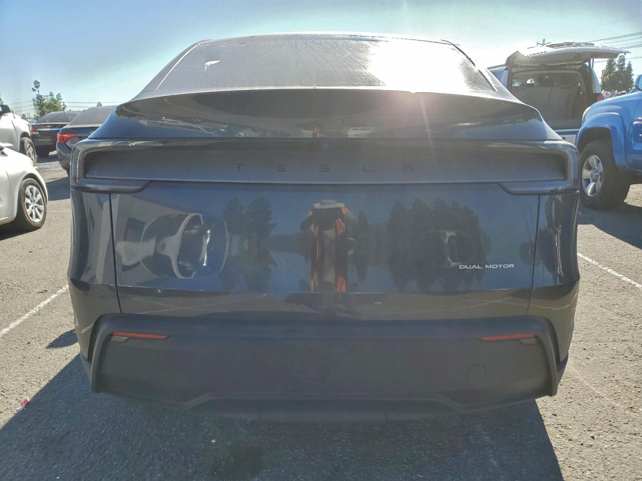 Tesla Model Y Image 6