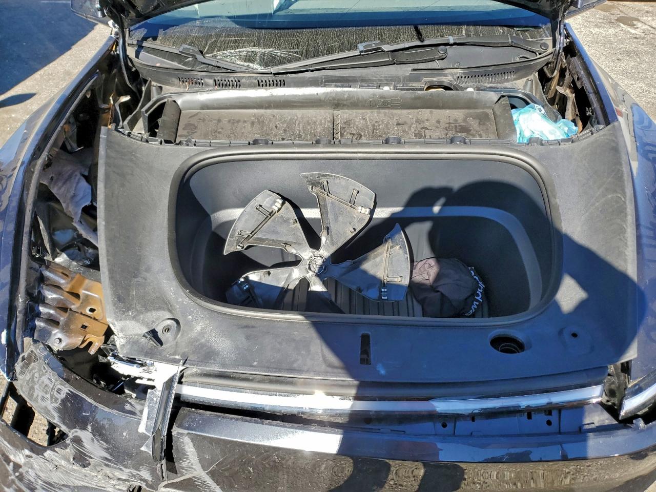 Tesla Model Y Image 11