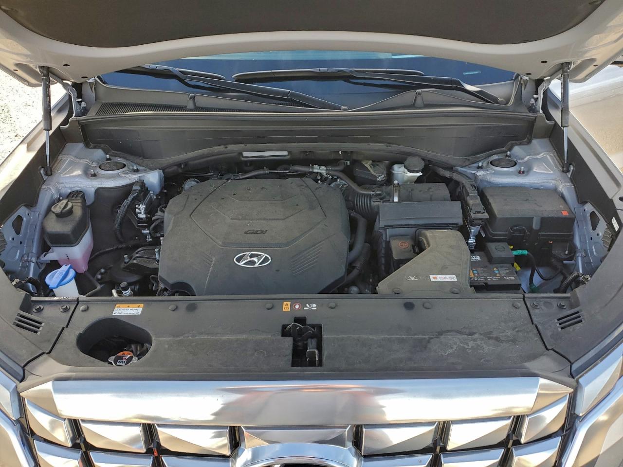 Hyundai PALISADE Calligraphy Image 13