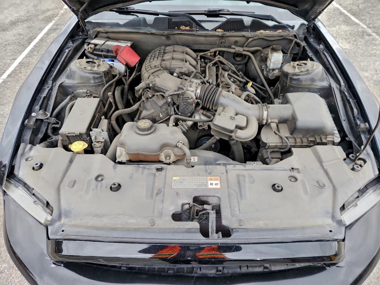 Ford Mustang Image 6