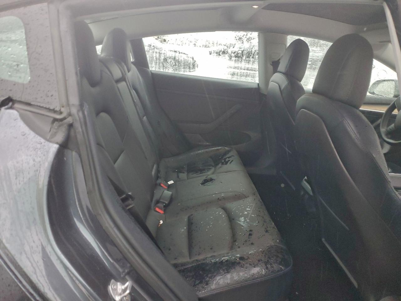 Tesla Model 3 Image 7