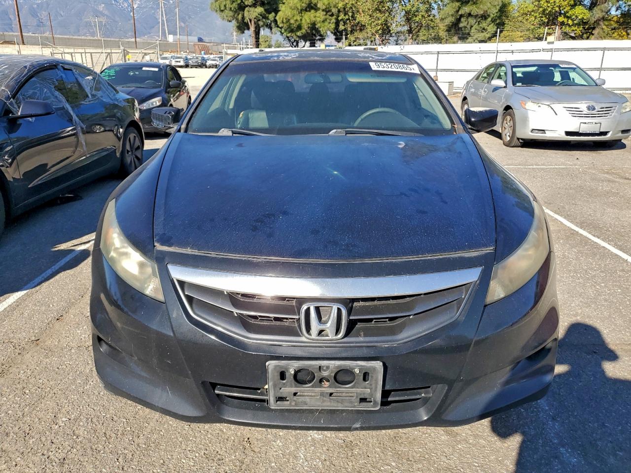 Honda Accord Exl Image 5