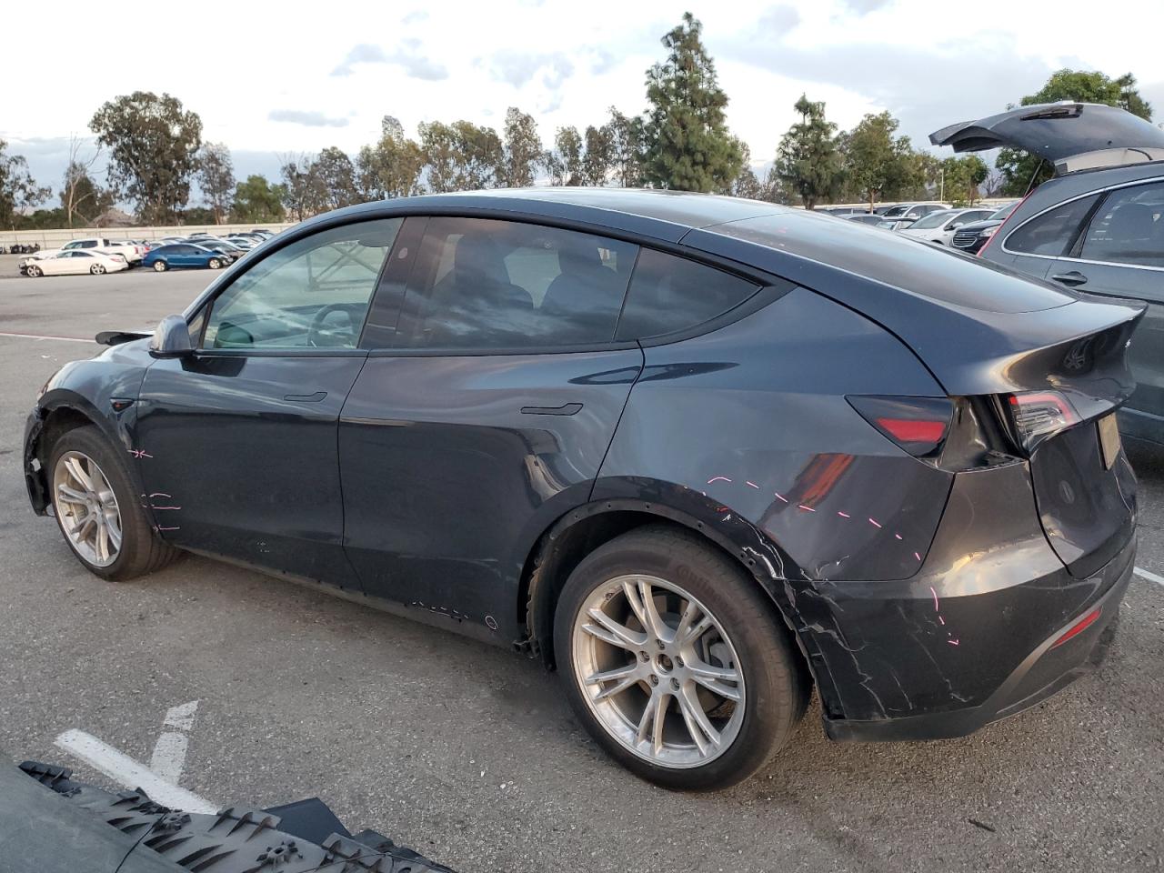 Tesla Model Y Image 3