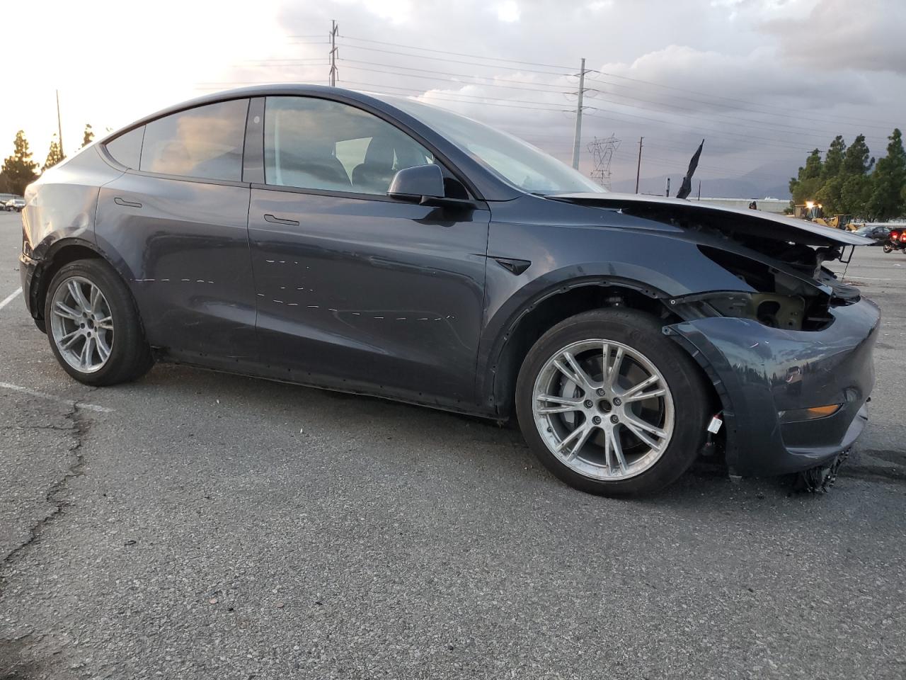 Tesla Model Y Image 5