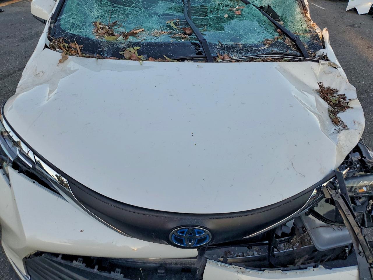 Toyota Sienna Xle Image 3