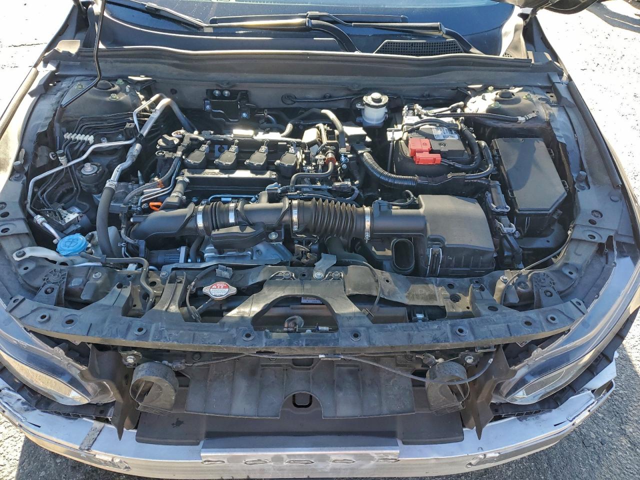 Honda Accord Lx Image 7