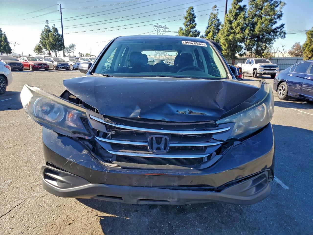 Honda Crv Lx Image 8