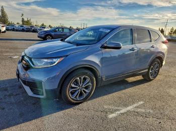  Salvage Honda Crv