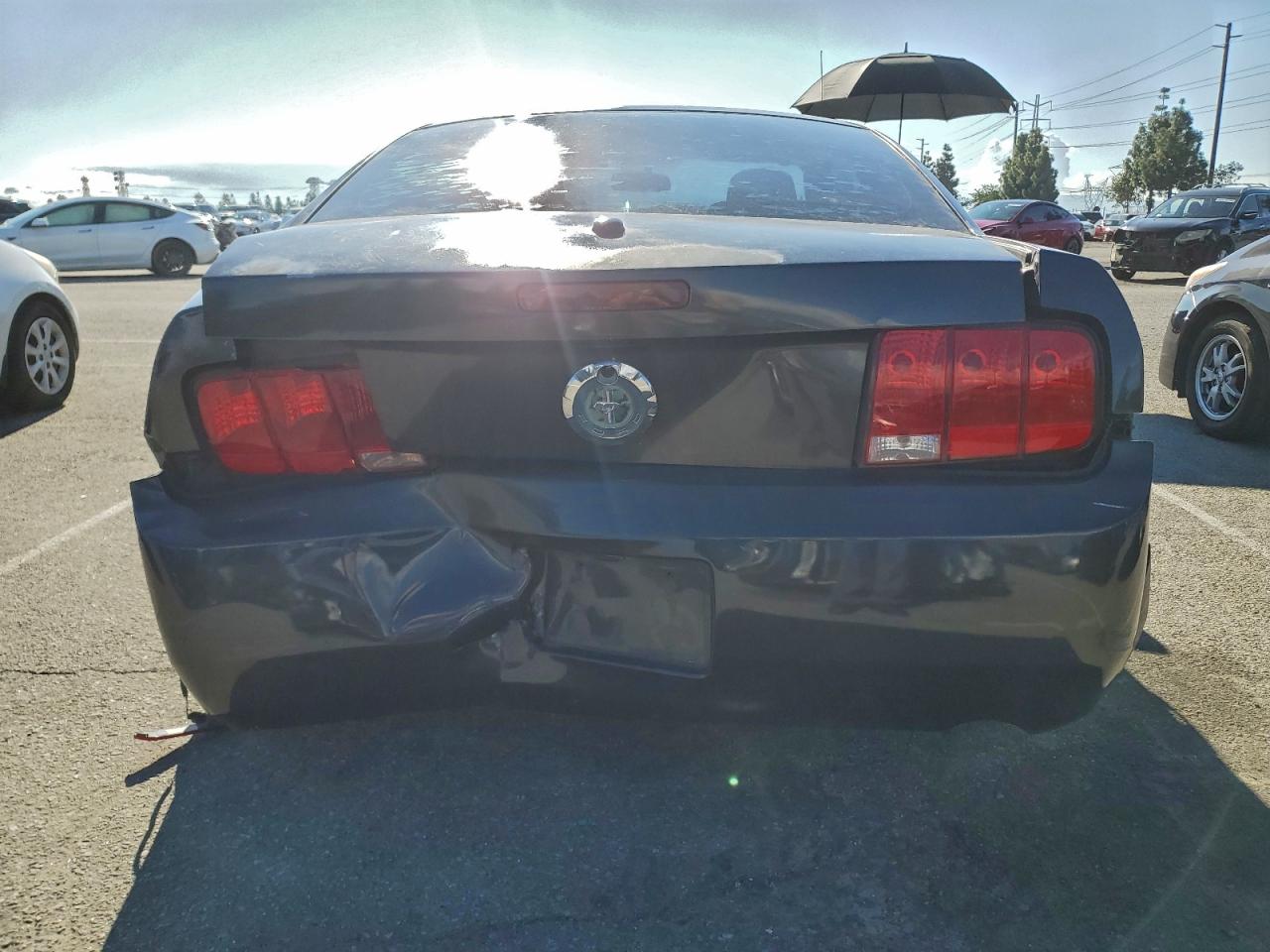 Ford Mustang Image 3