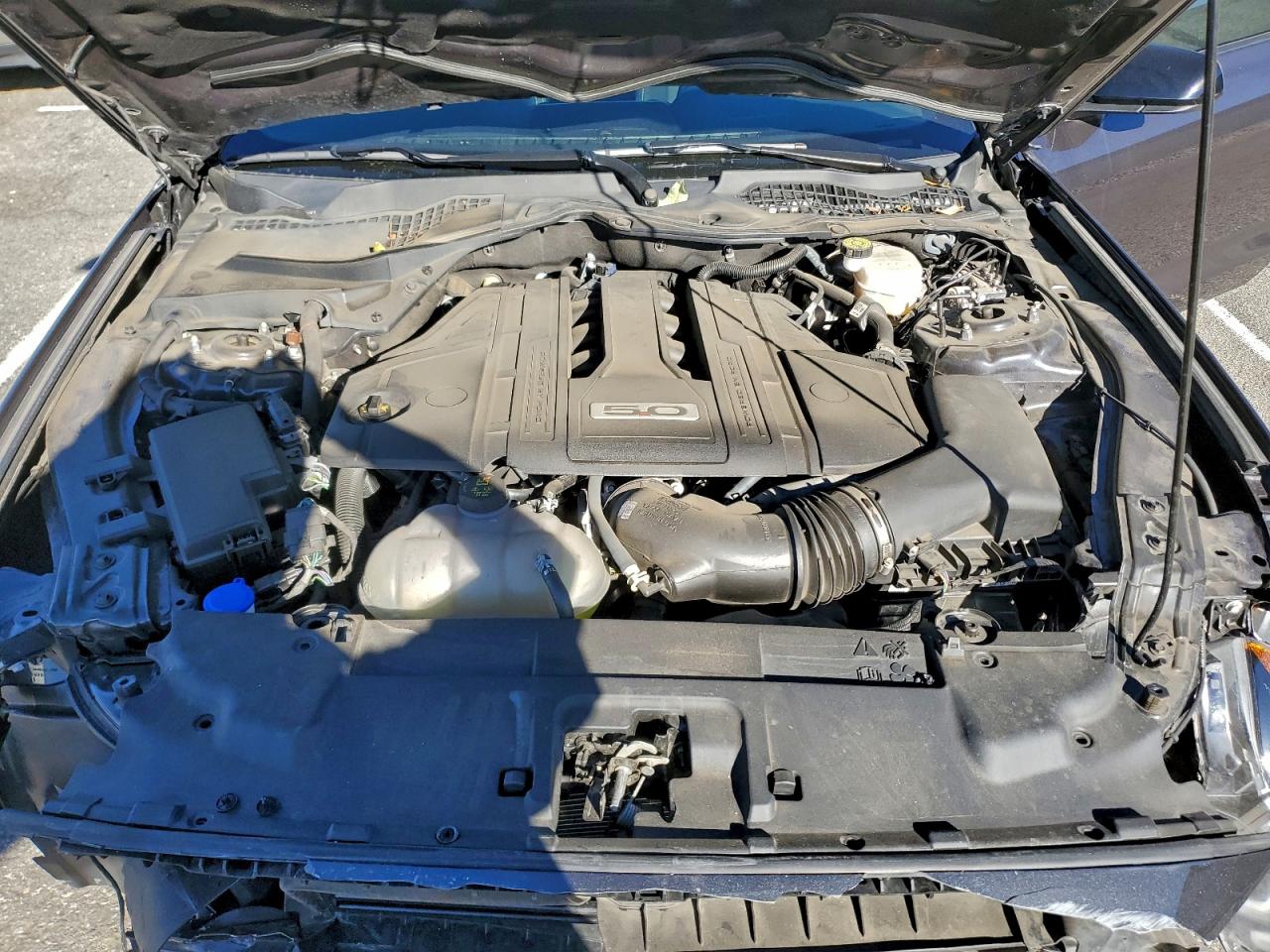 Ford Mustang Gt Image 10