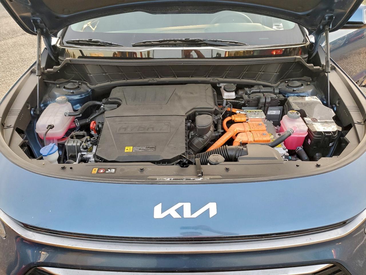 Kia Niro Ex Image 12