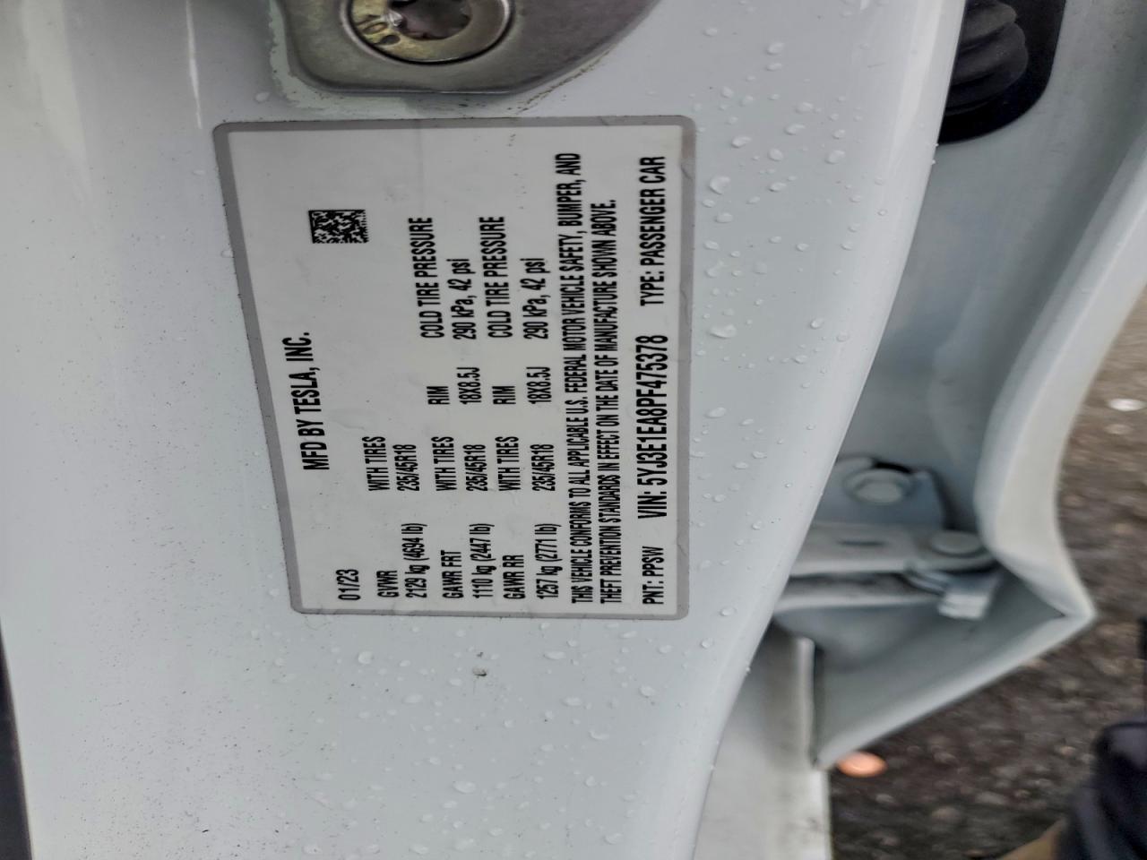 Tesla Model 3 Image 13