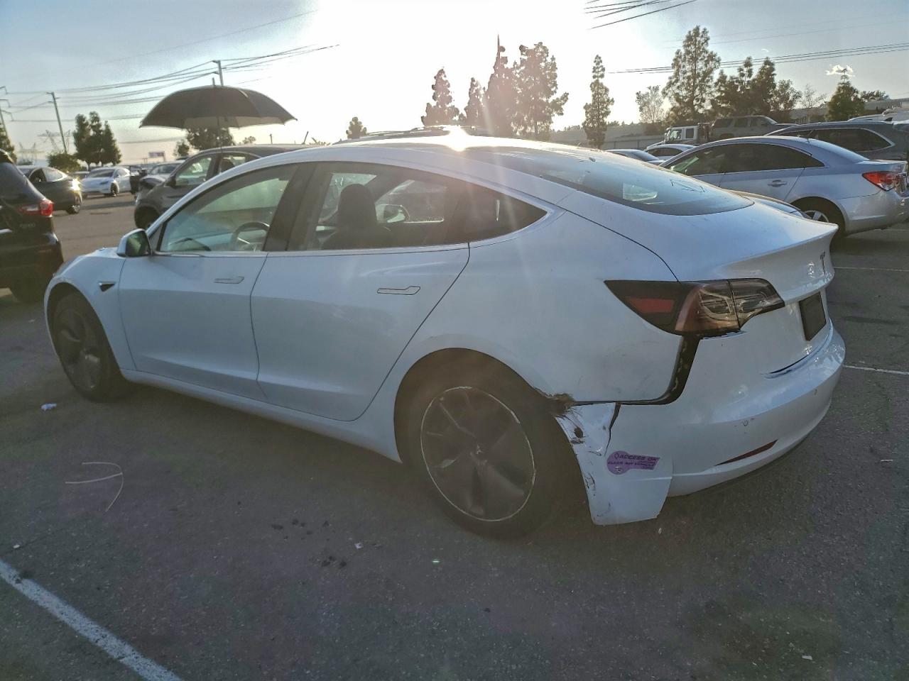 Tesla Model 3 Image 2