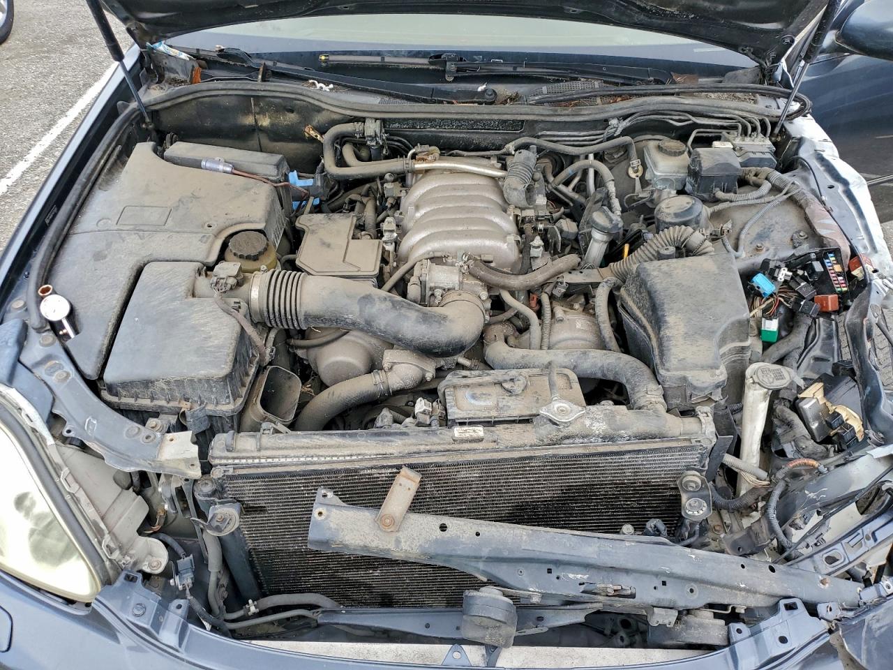 Lexus LS 430 Image 11