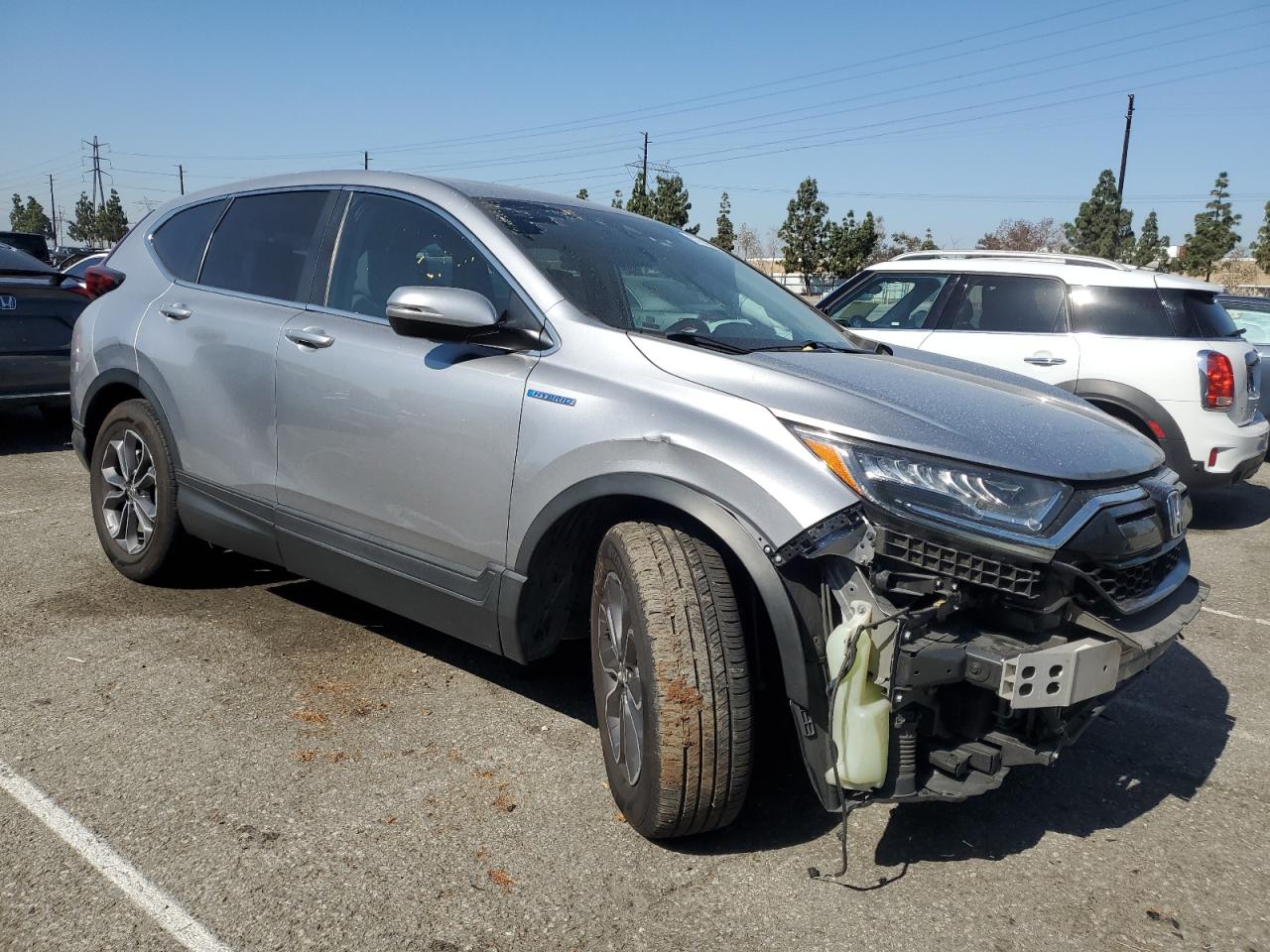 Honda Crv Exl Image 5