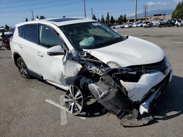 Toyota RAV4 Xle Image 5