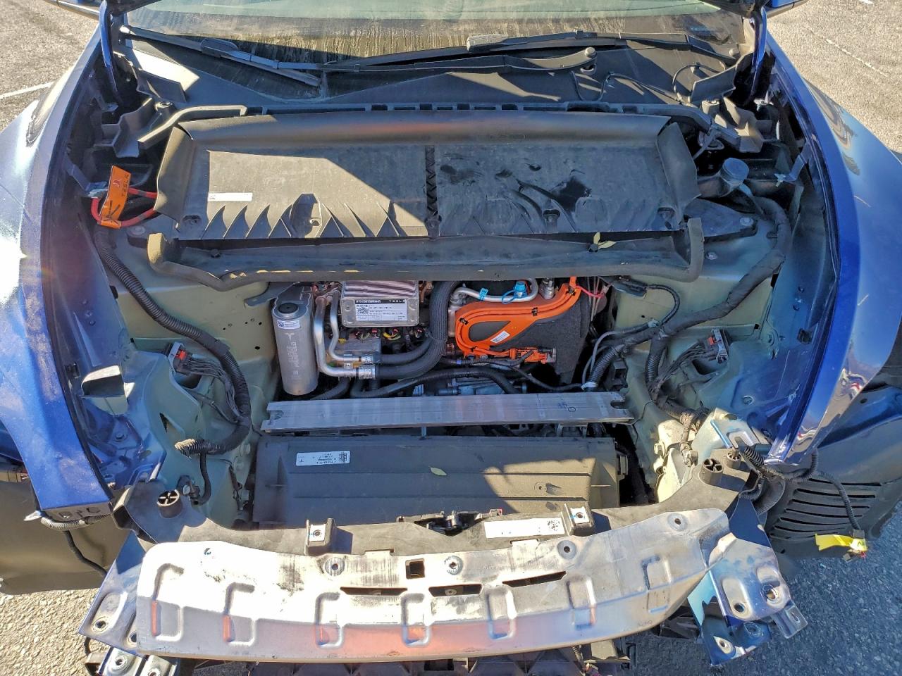 Tesla Model Y Image 11