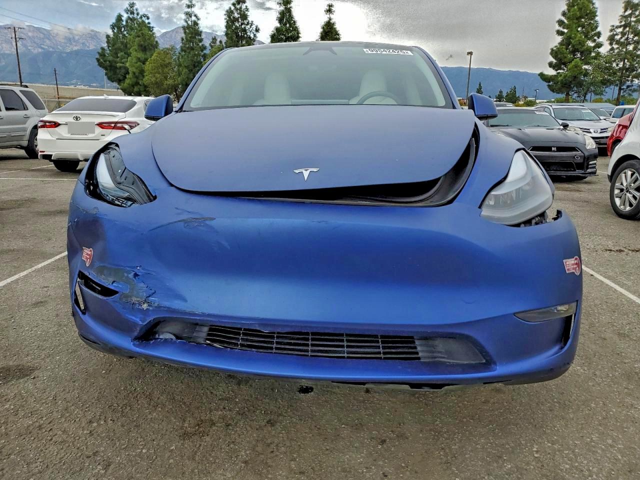 Tesla Model Y Image 8
