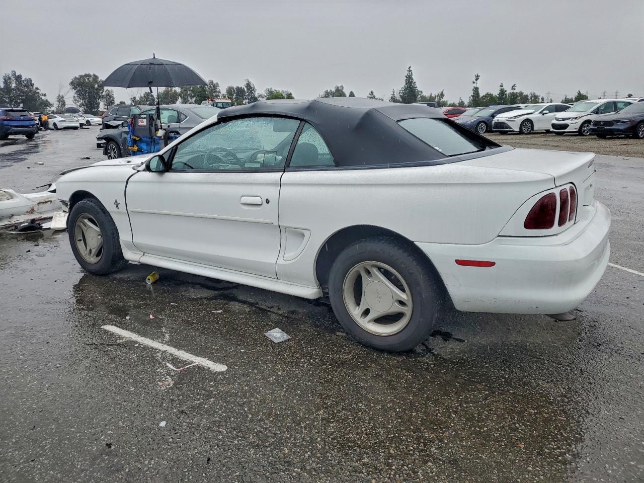 Ford Mustang Image 4